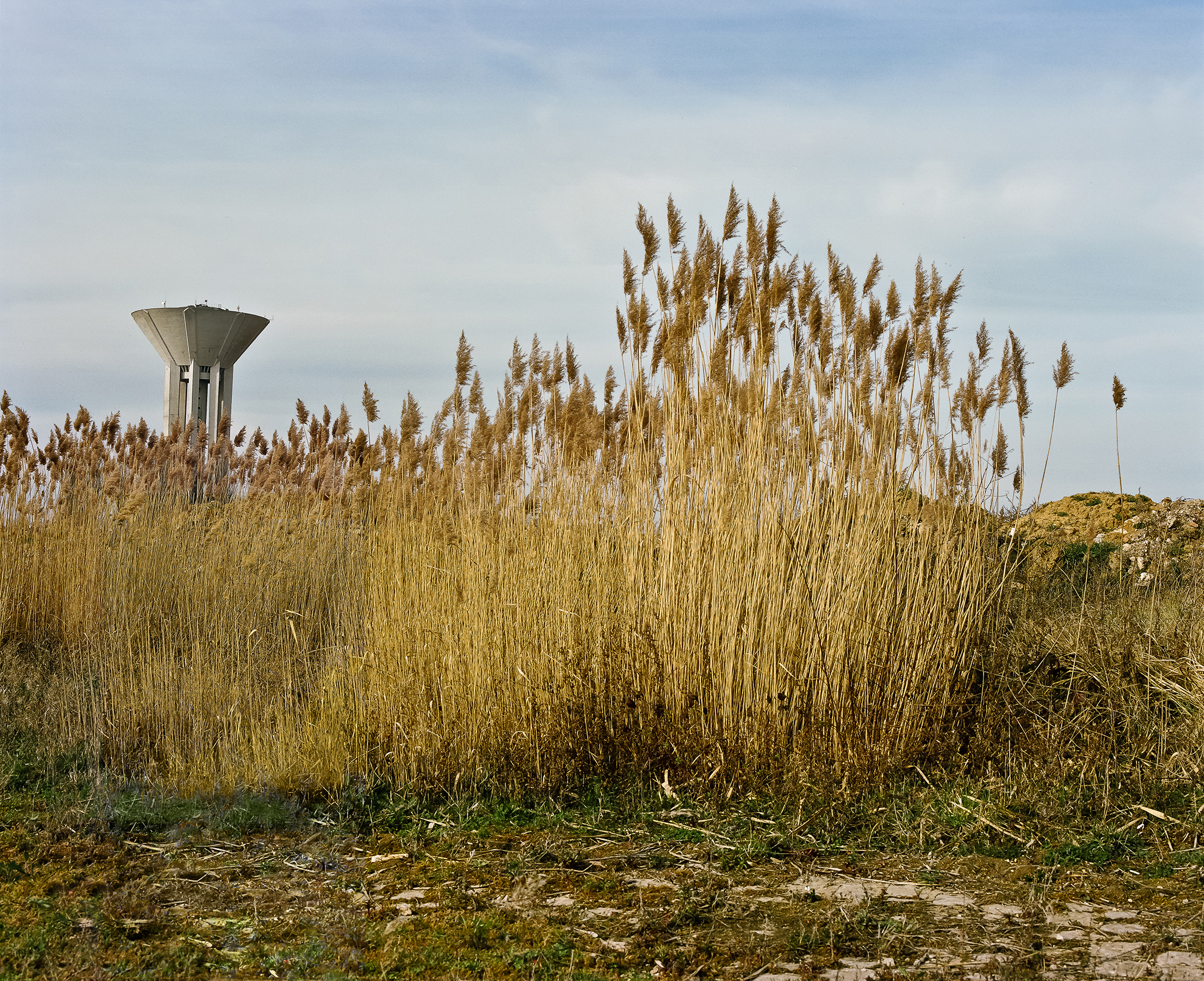 Fields of Attraction 11