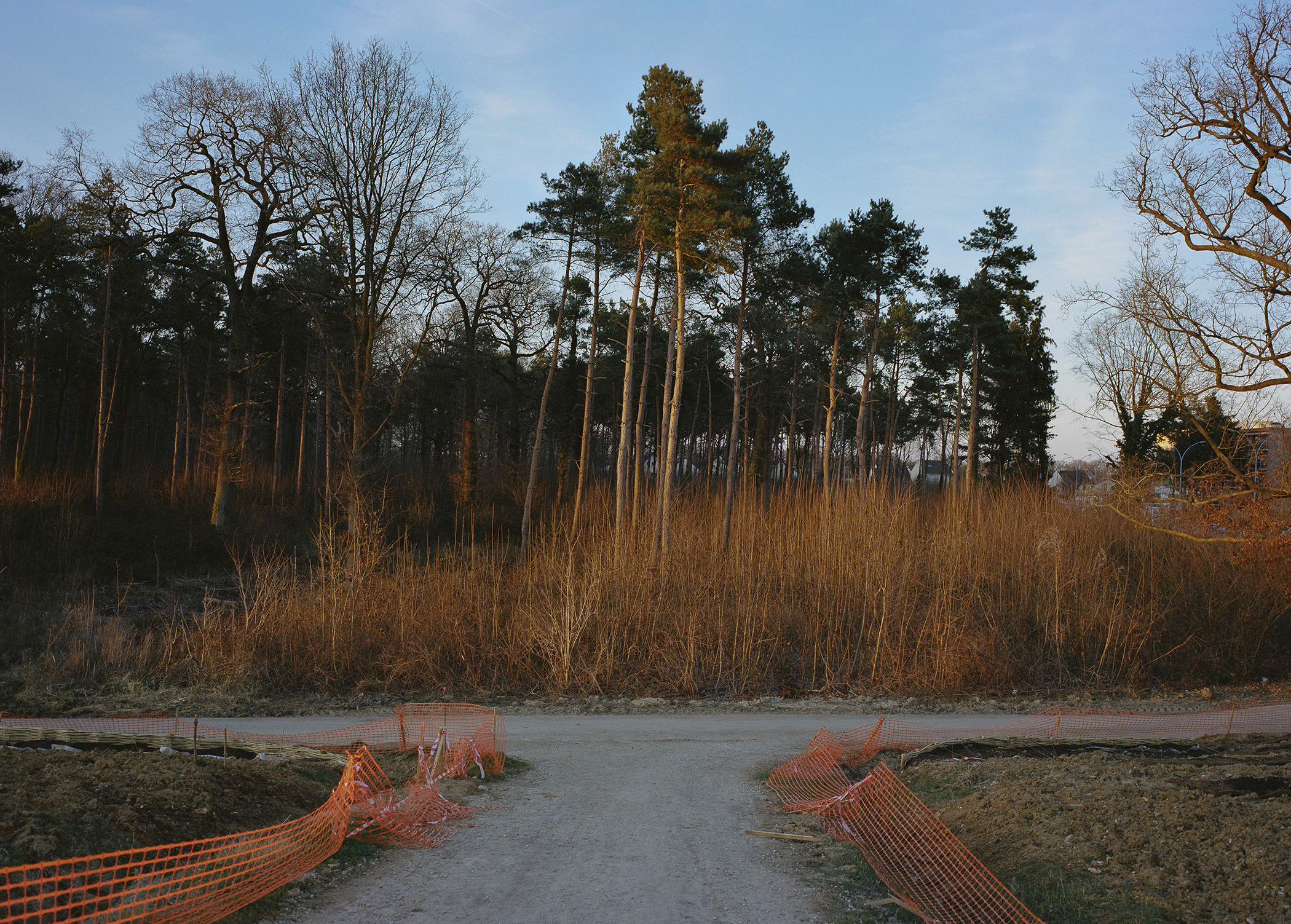 Fields of Attraction 15