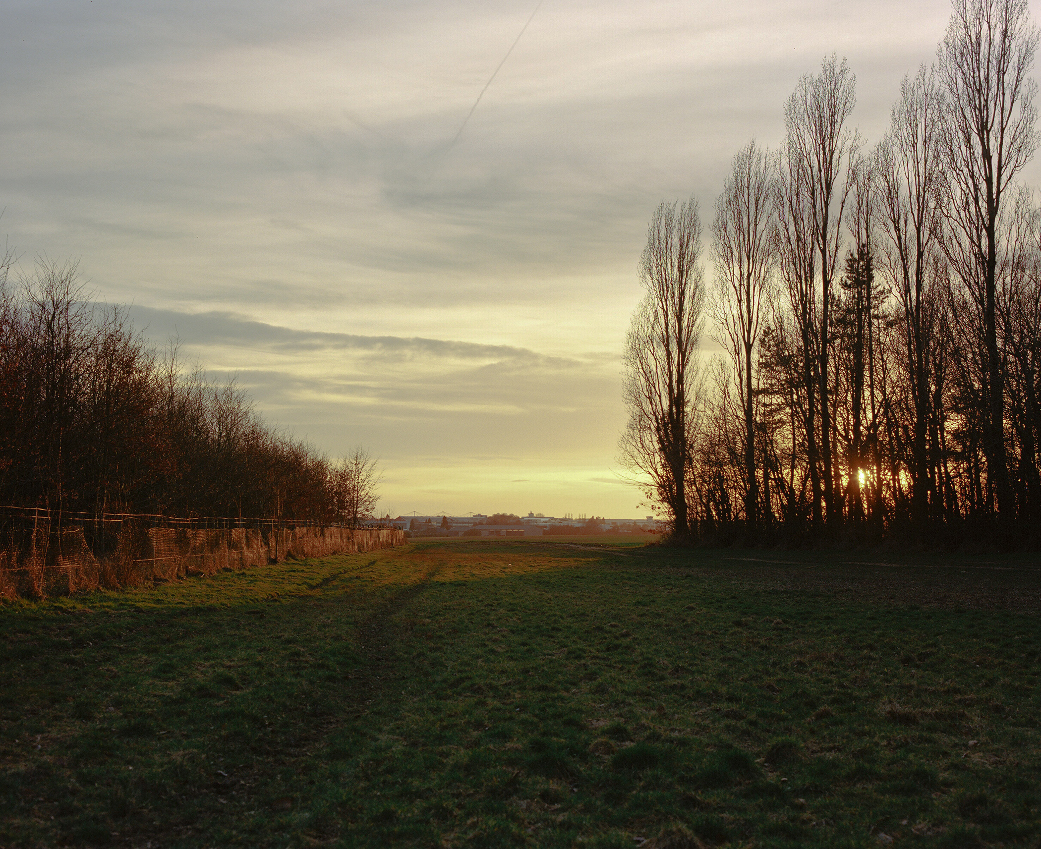Fields of Attraction 25