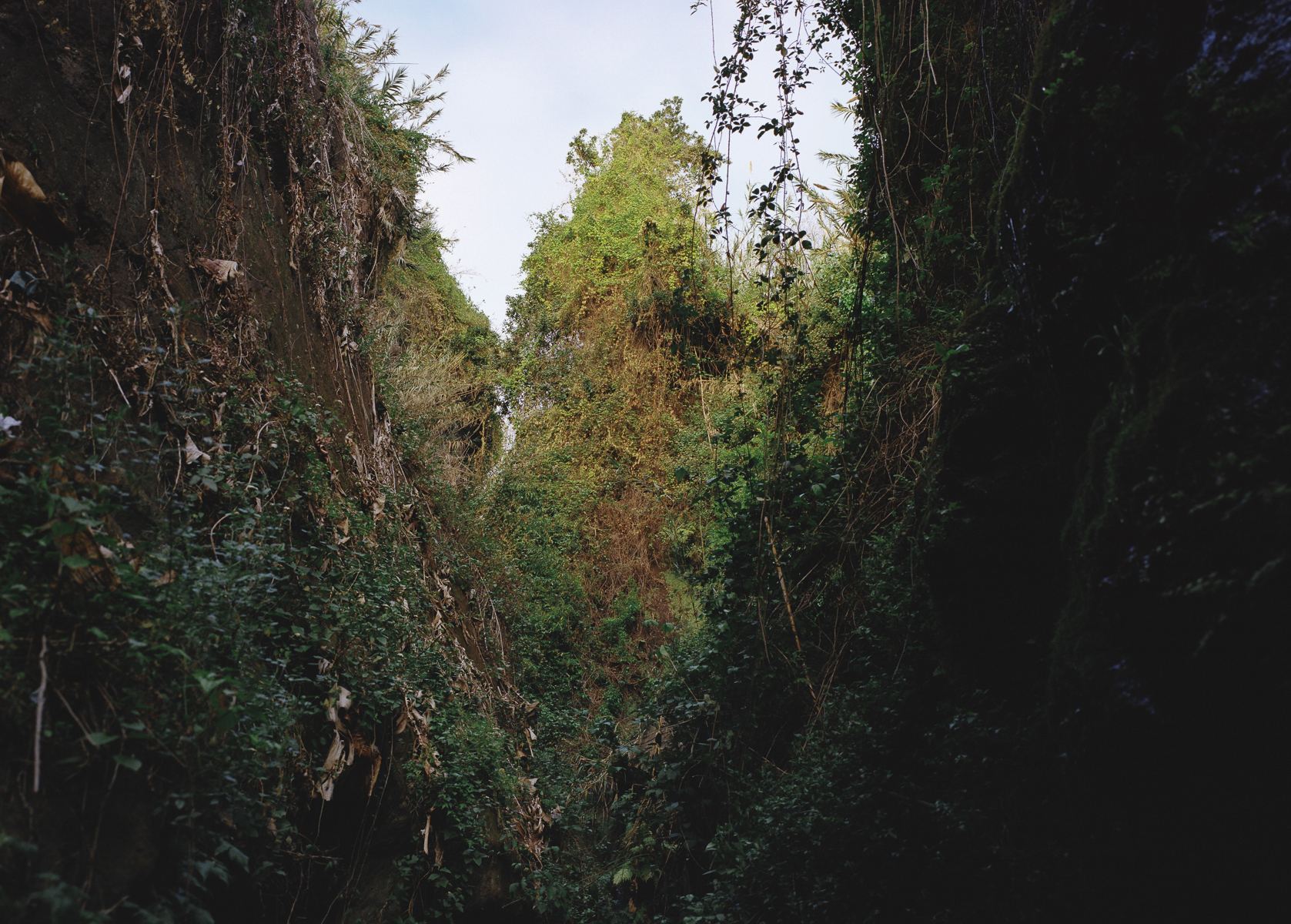 Mémoires d’un Paradis 15